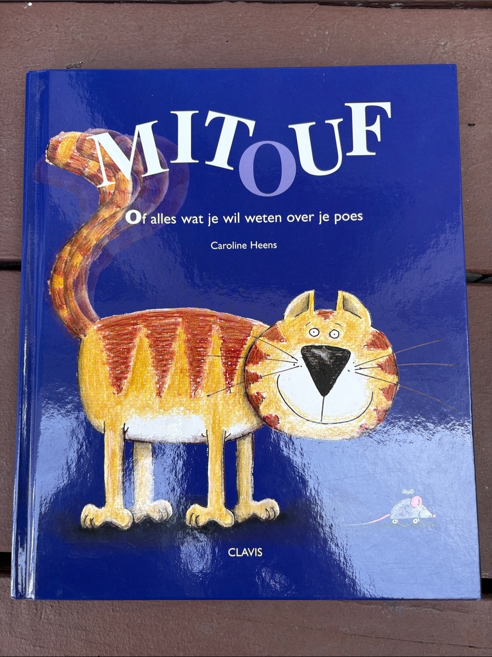 RARE hard to find Mitouf pop up book in Dutch.Unique great drawings of cats.